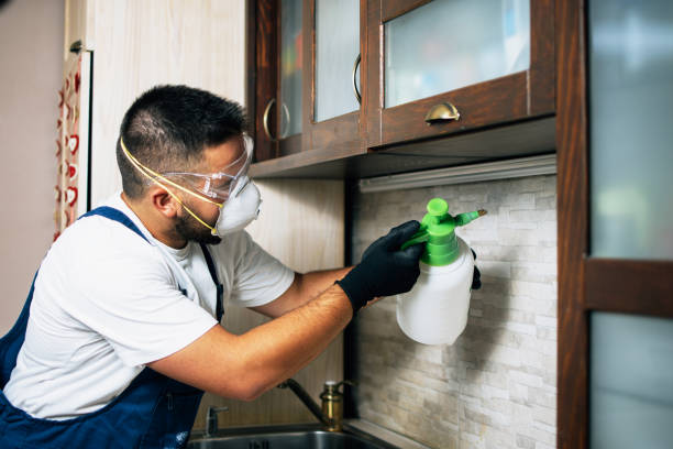 Best Best Pest Control Companies  in Milford, IN