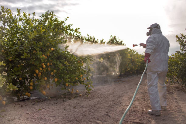 Best Best Pest Control Companies  in Milford, IN